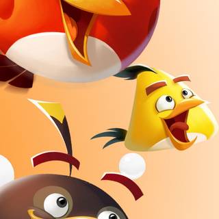 Birds phone wallpaper