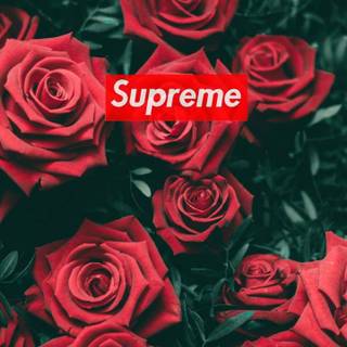 Supreme flowers wallpaper