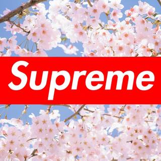 Supreme flowers wallpaper