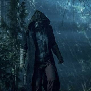 Cicada Flash wallpaper