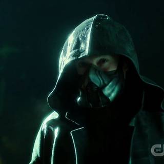 Cicada Flash wallpaper