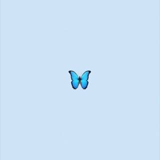 VSCO butterflies wallpaper
