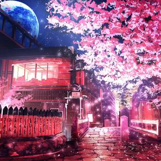 Anime blossom desktop wallpaper