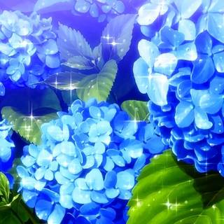 Anime blossom desktop wallpaper