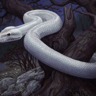 Large snake wallpaper