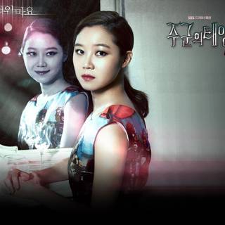 Master's Sun wallpaper
