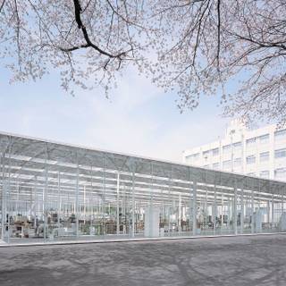 Jun'ya Ishigami wallpaper