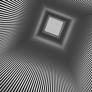 Brain question picture wallpaper