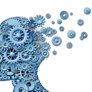 Brain question picture wallpaper