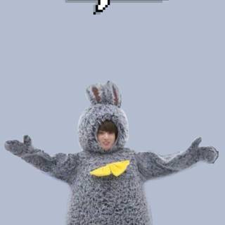 BTS stuffed animals wallpaper