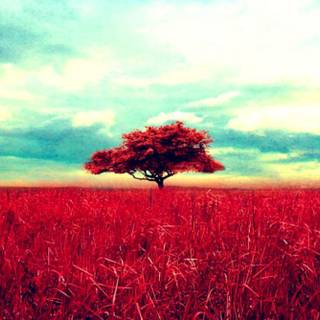 Tumblr vintage wallpaper