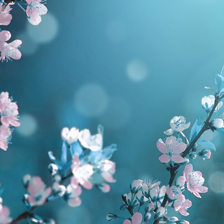 Aesthetic spring flour wallpaper