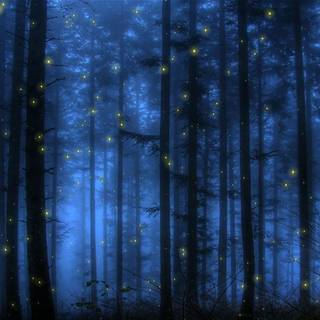 Glowing forest wallpaper