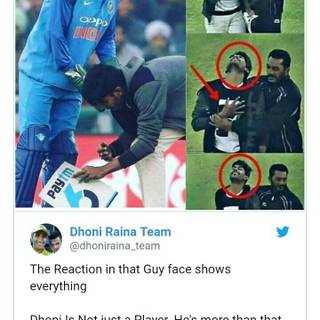 Cricket memes wallpaper