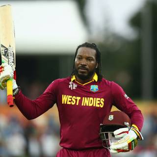 Cricket memes wallpaper