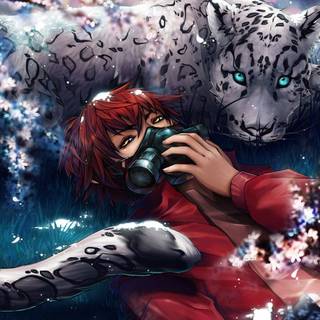 Anime tigers wallpaper