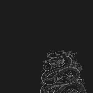 Aesthetic dragon wallpaper