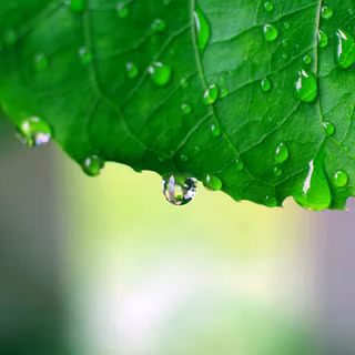 Nature rainfall wallpaper