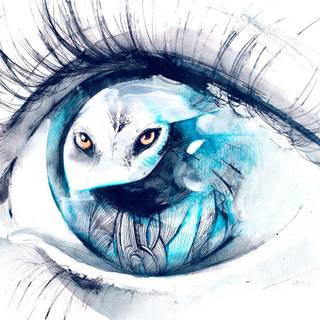 Wolf eye desktop wallpaper