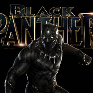 Black Panther characters wallpaper