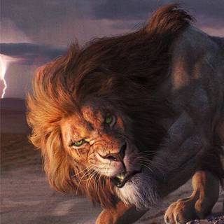 Lion aesthetic pictures wallpaper