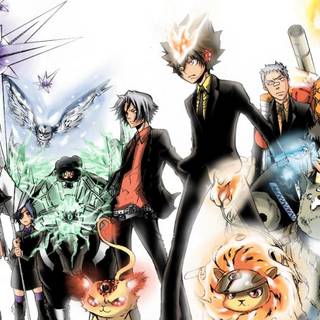 Anime Reborn wallpaper