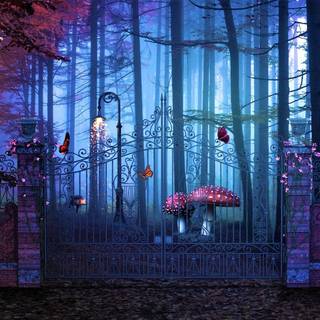 The Enchanted Forest wallpaper