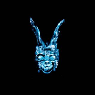 Donnie Darko desktop wallpaper