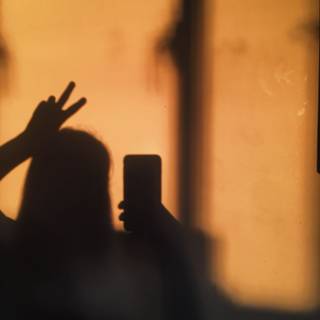 Shade aesthetic wallpaper