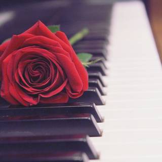Piano aesthetic wallpaper
