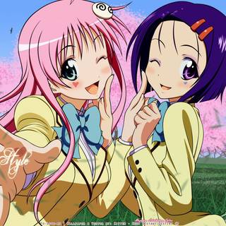 Mikan computer wallpaper