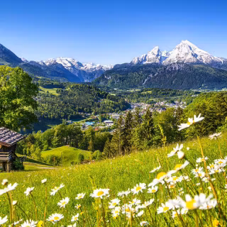Swiss nature wallpaper