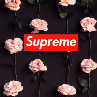 Roses on Supreme logo wallpaper