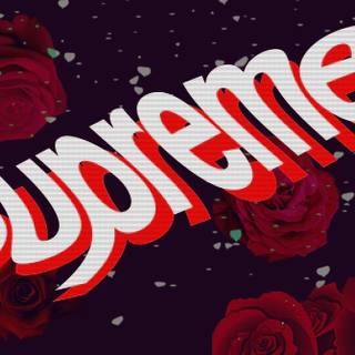 Roses on Supreme logo wallpaper