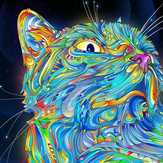 Rainbow cats wallpaper