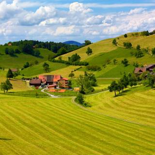 Village nature wallpaper