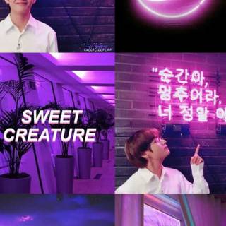 Neon purple aesthetic wallpaper