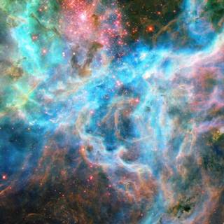 HD phone screen wallpaper