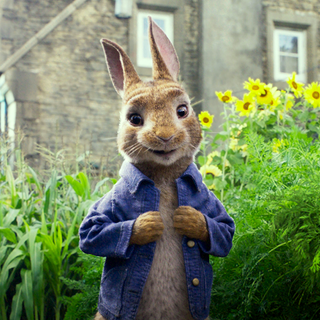 Peter Rabbit 2 wallpaper