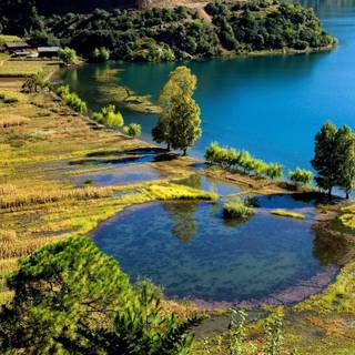 Harvest village wallpaper