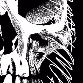 Memento Mori phone wallpaper