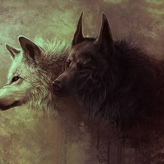 Sad anime wolf wallpaper