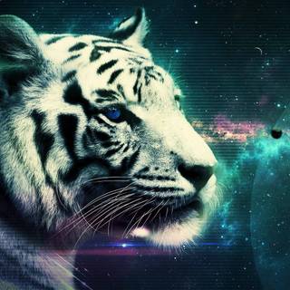 Galaxy tiger wallpaper