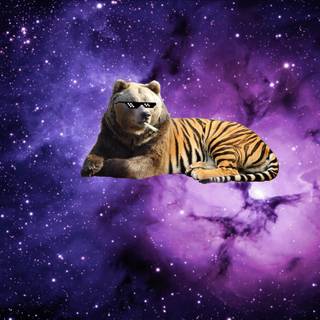Galaxy tiger wallpaper