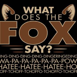 What Does The Fox Say wallpaper