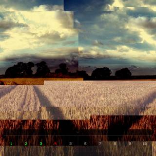 iPhone XR agriculture wallpaper