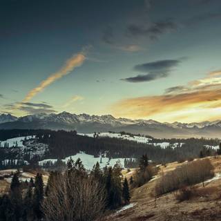 Spring panorama wallpaper