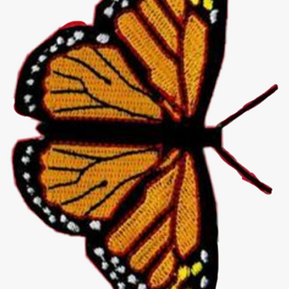 VSCO orange butterflies wallpaper