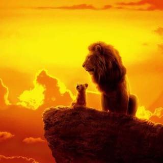 Shaun King wallpaper