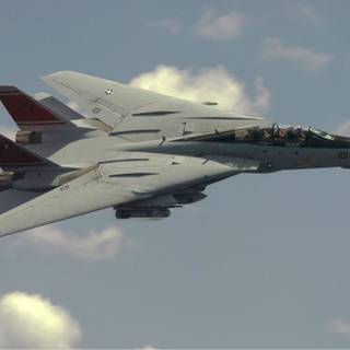 Tomcat wallpaper
